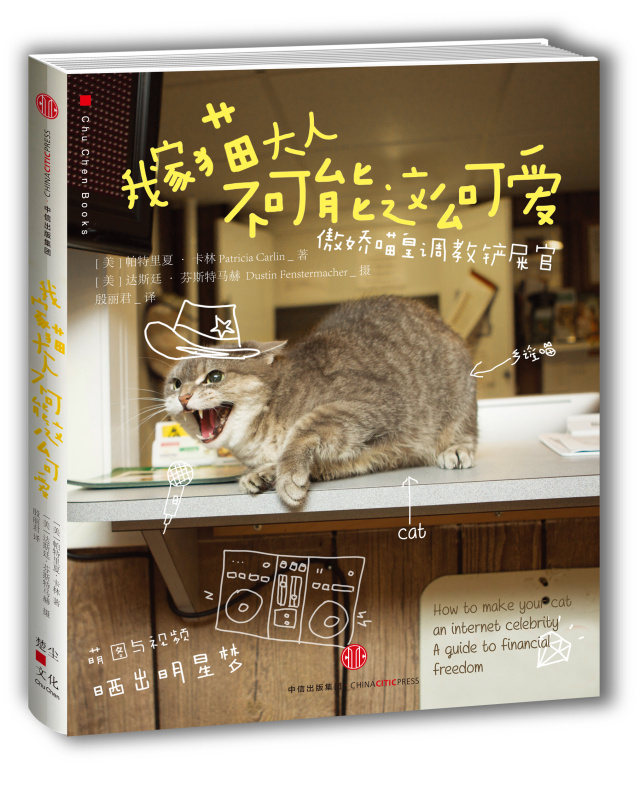 猫咪的几种常见坐姿,猫主子的各种睡姿