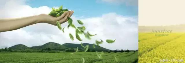 悦诗风吟是韩国牌子,韩国悦诗风吟遮瑕