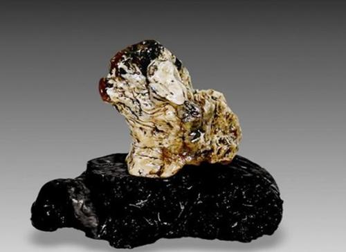 你知道为什么奇石长得像方角石呢,这18块奇石可以称为顶级奇石