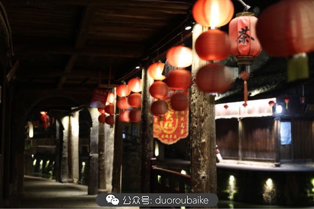 古镇寻肉记：那些旅行中遇见的植物！