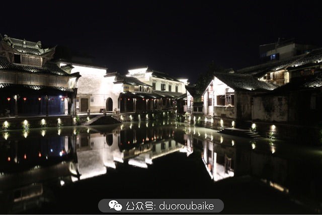 古镇寻肉记：那些旅行中遇见的植物！