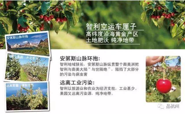 年货高端必备水果车厘子,年后的车厘子买哪种好吃