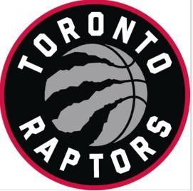 nba30个球队昵称,nba30支球队队名