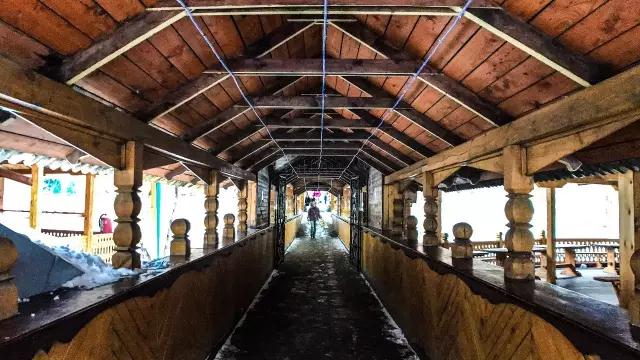 带三个美女自驾中国,自驾房车欧洲之旅