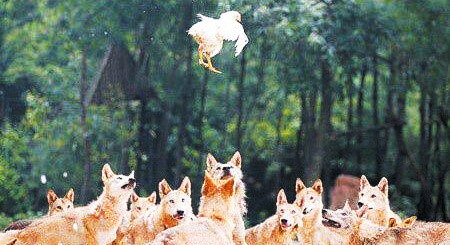 璺楅涔嬭泦by鍖垮悕鍜搁奔鍏嶈垂闃呰,鐢靛晢鐜板湪娣樺瓒婃潵瓒婇毦鍋氫簡