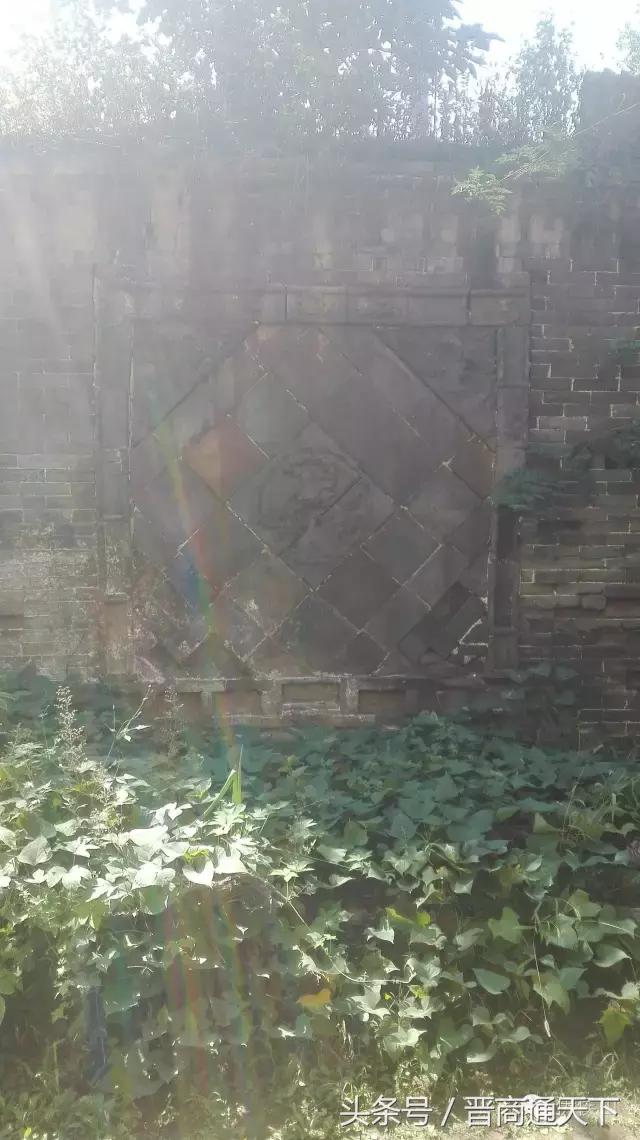 钟灵秀小说,钟灵秀视频