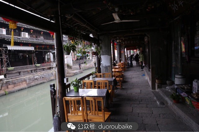 古镇寻肉记：那些旅行中遇见的植物！