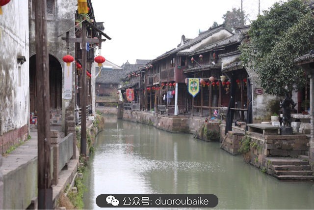 古镇寻肉记：那些旅行中遇见的植物！