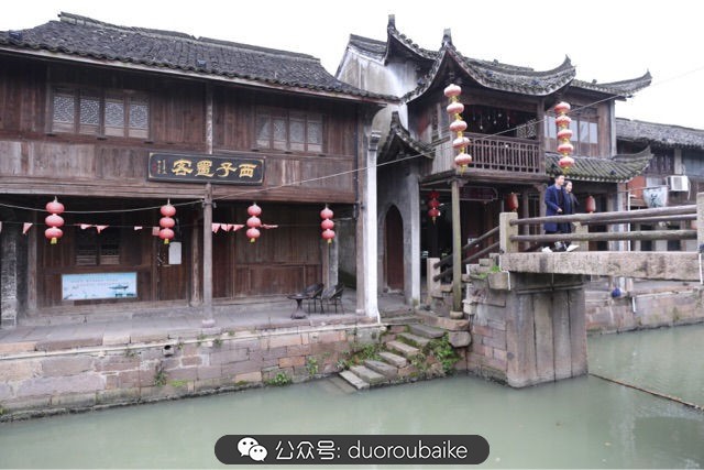 古镇寻肉记：那些旅行中遇见的植物！