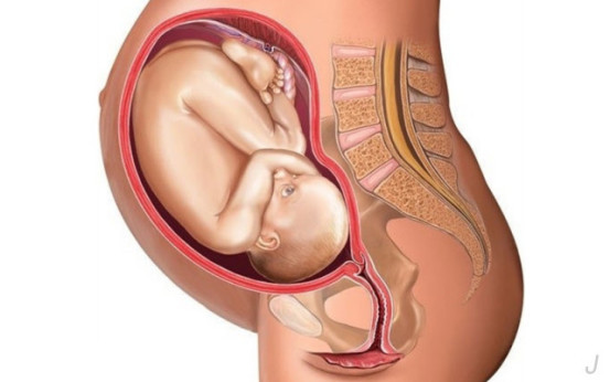 孕期*裤内**为啥总是湿湿的？*处私**护理不正确，严重影响胎儿发育