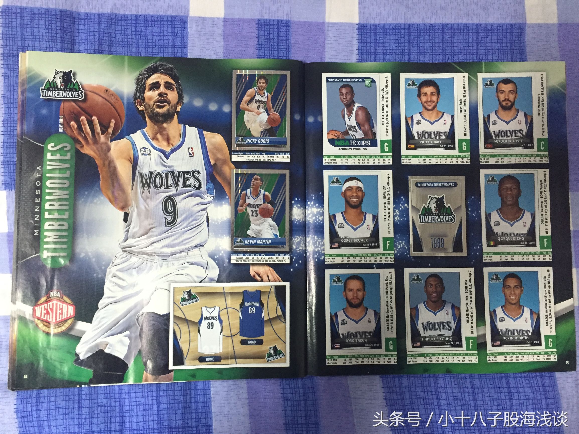 帕尼尼nba贴纸,nba帕尼尼贴纸卡