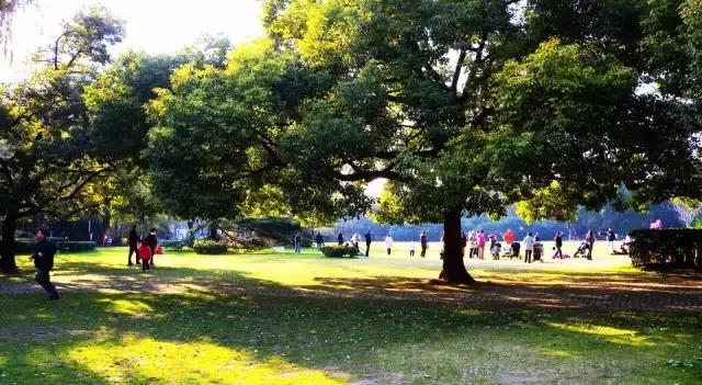 中山公园一进门是什么,中山公园怎么静悄悄的