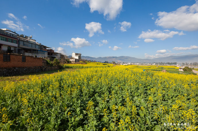 云南美丽的红河,云南红河一生的回忆