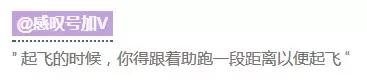 第1次坐飞机超实用小技巧,坐飞机的9个小常识