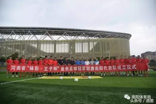 南阳十大热议新闻,南阳体育新闻