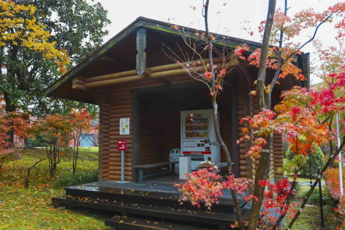 冬日和闺蜜出游,3天2夜的温泉之旅