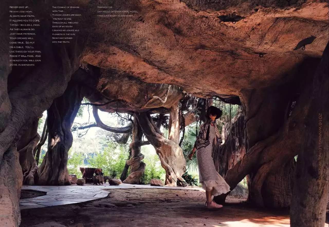 入门摄影卡片机推荐,街拍卡片机推荐