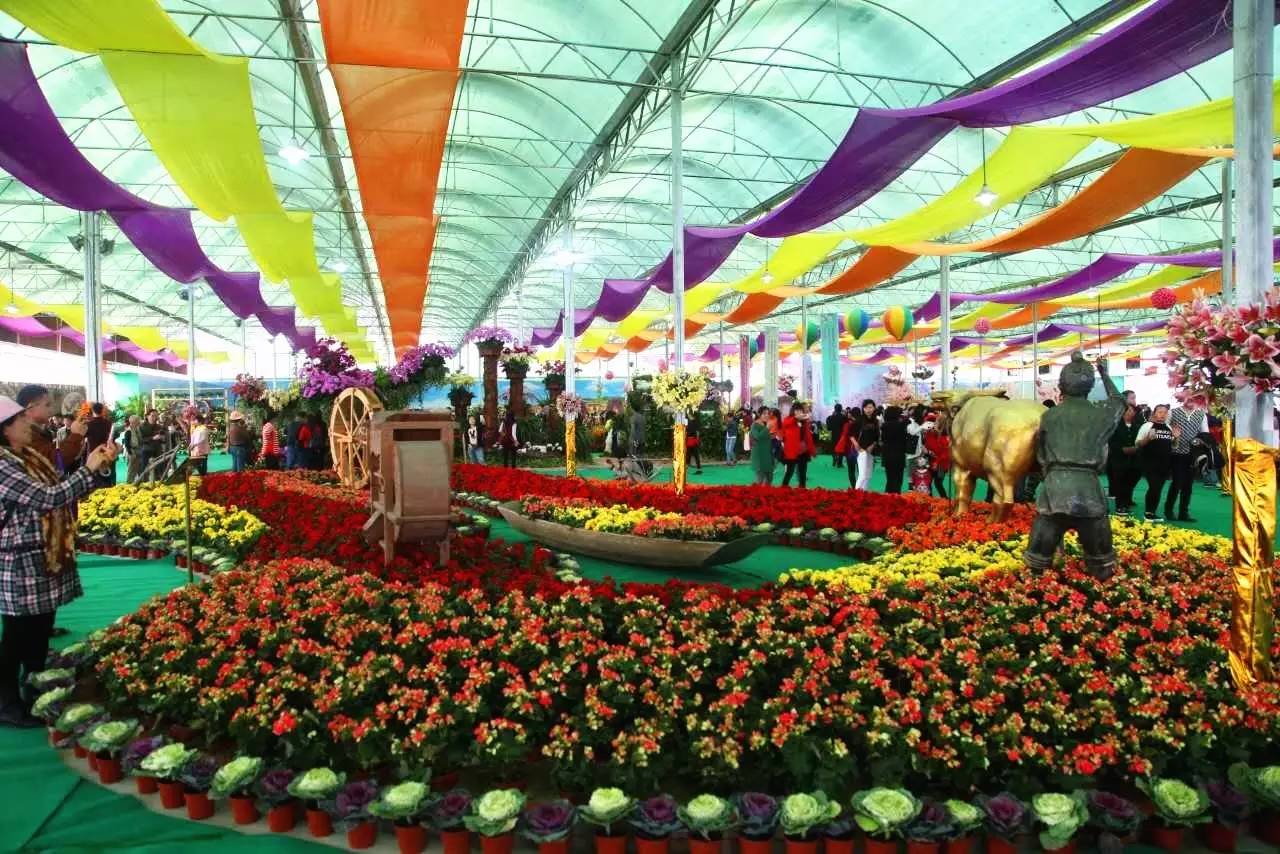 就在今日，百万鲜花盛放！南海这个“花花世界”等你来赏！