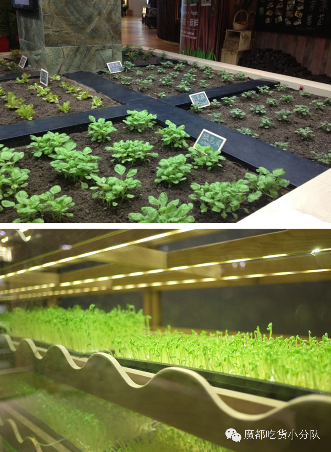 上海美食打卡必去的地方排名,上海万象城美食排行榜前十名