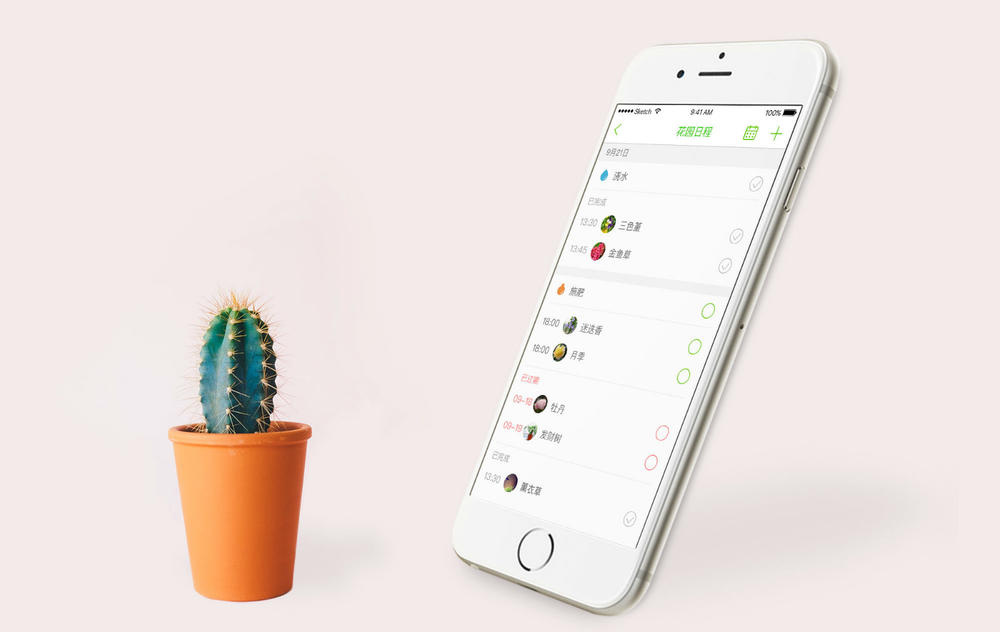 首发|融资200万他教1万用户侍弄花草6国语言智能提醒浇水施肥