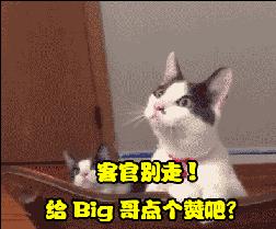 争夺中国最贵好声音！你敢说“爸爸们“唱歌不好听吗……