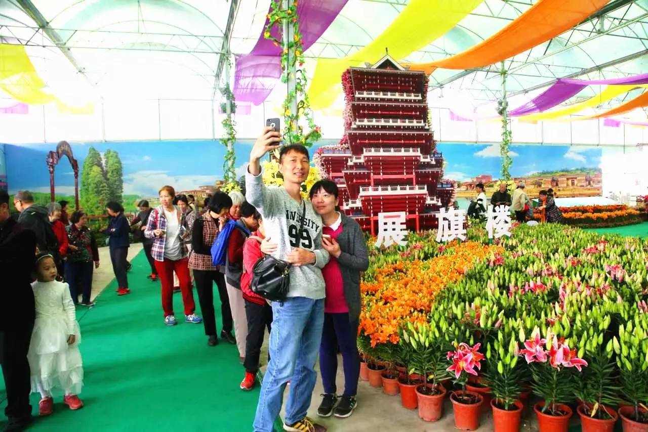 就在今日，百万鲜花盛放！南海这个“花花世界”等你来赏！