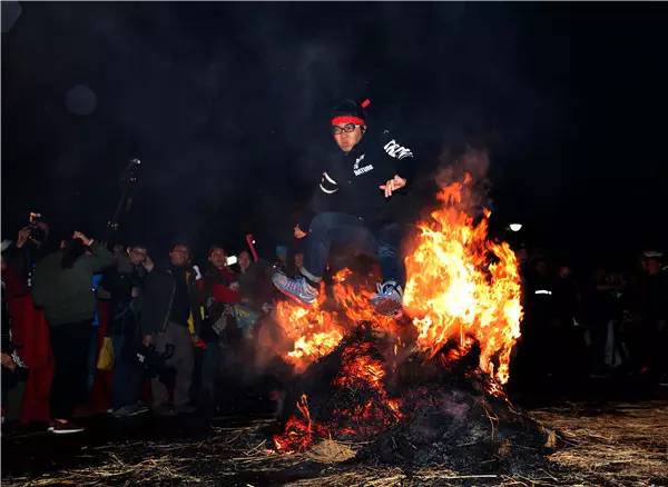 就在今日，百万鲜花盛放！南海这个“花花世界”等你来赏！
