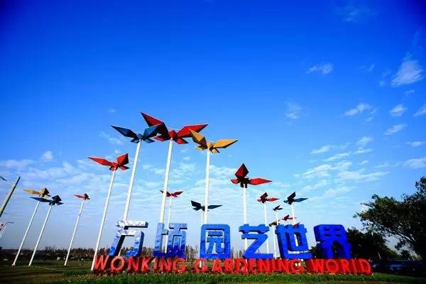 就在今日，百万鲜花盛放！南海这个“花花世界”等你来赏！