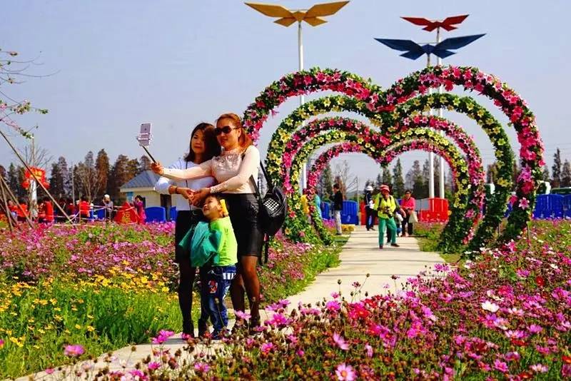 就在今日，百万鲜花盛放！南海这个“花花世界”等你来赏！