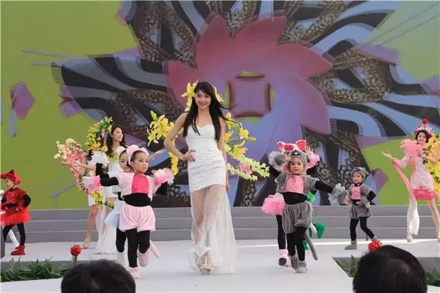 就在今日，百万鲜花盛放！南海这个“花花世界”等你来赏！