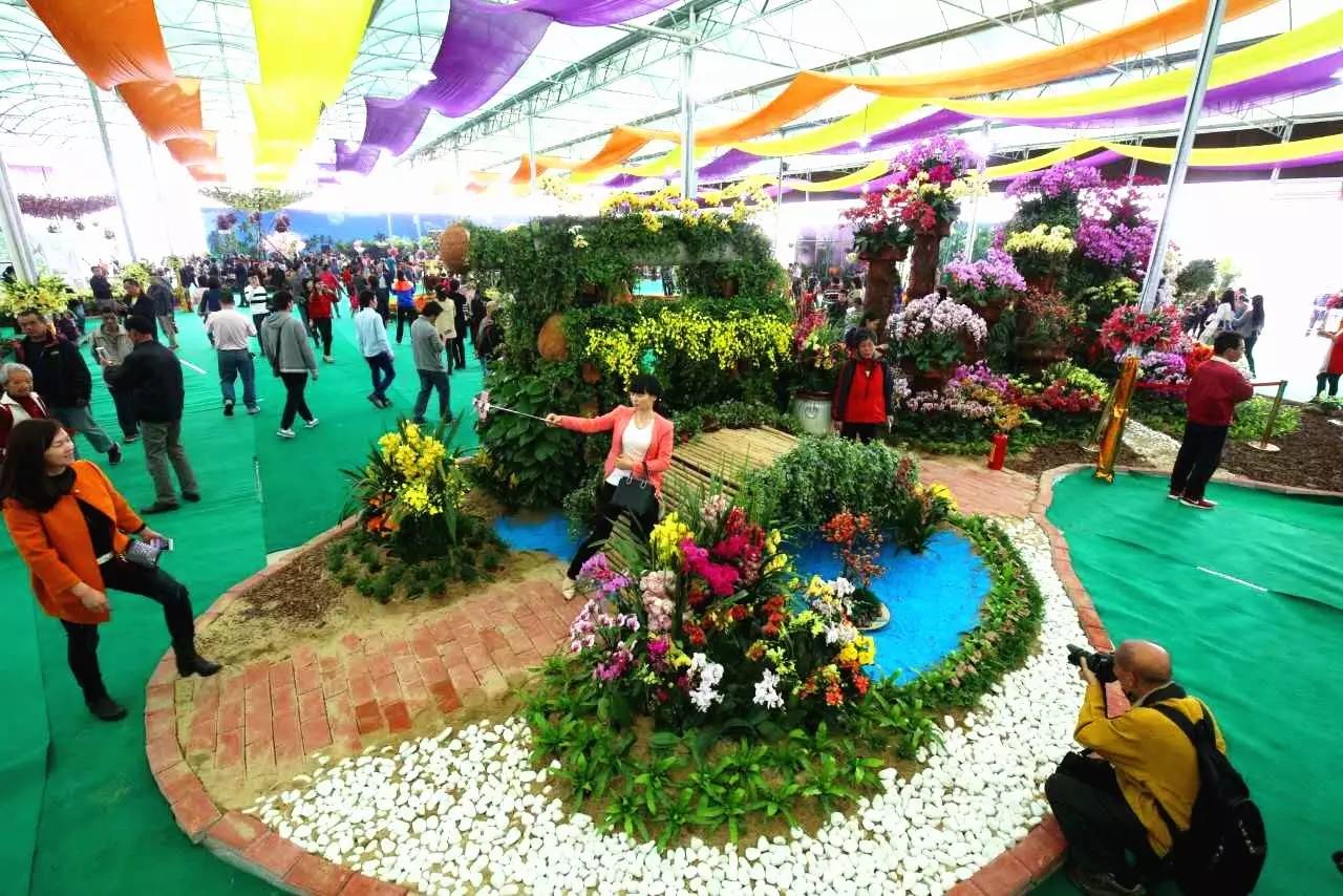 就在今日，百万鲜花盛放！南海这个“花花世界”等你来赏！