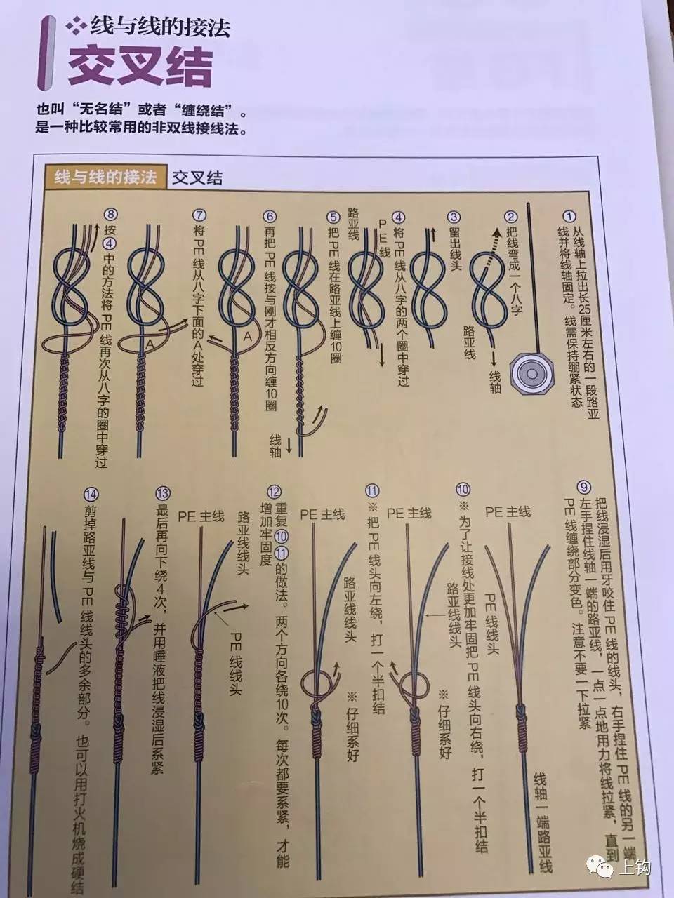 海钓惊人的捕鱼技巧大型鱼类上钩,岸边海钓技巧绑线