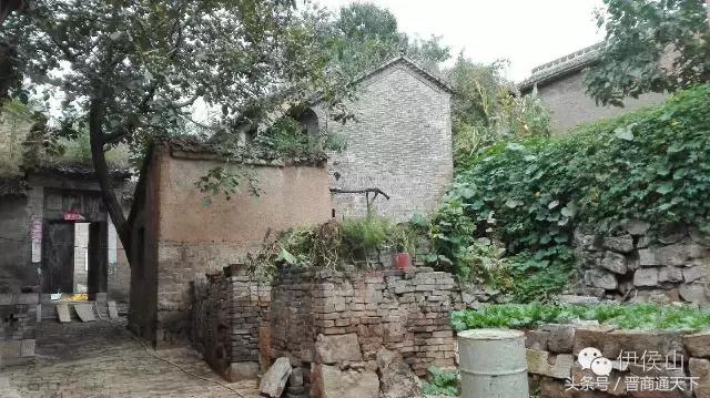 钟灵秀小说,钟灵秀视频