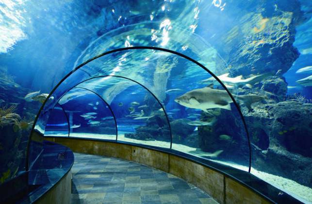 上海一日游必去的4个景点,上海必游的十大免费景点推荐一下