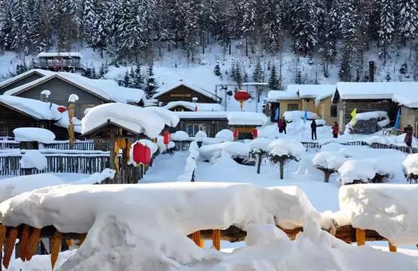 哈尔滨旅游攻略冰雪,冰雪之旅哈尔滨旅游攻略