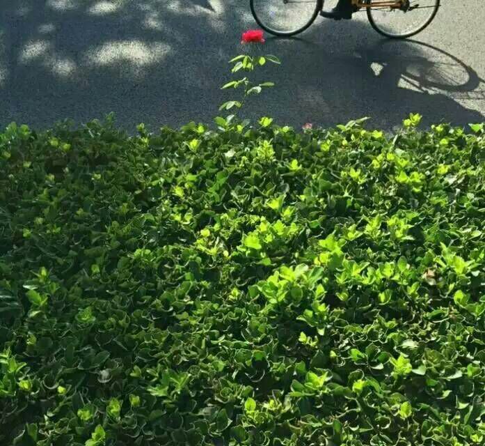 给摄影爱好者的十二条摄影经验,看完这组摄影作品你还淡定吗