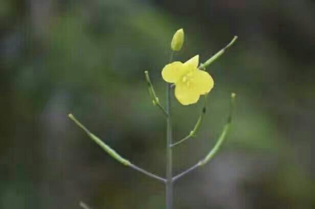 给摄影爱好者的十二条摄影经验,看完这组摄影作品你还淡定吗