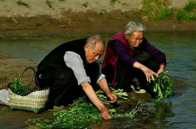 给摄影爱好者的十二条摄影经验,看完这组摄影作品你还淡定吗