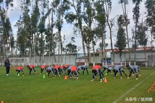 卓尔战泰达最新视频,卓尔黄海最新赛程