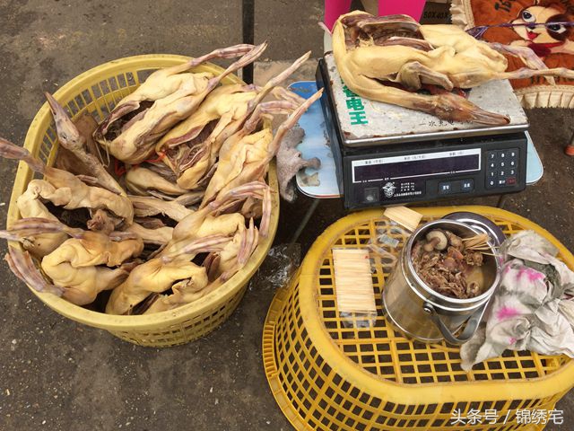 在北方不容易买到的时令蔬菜,这些特点蔬菜你见过吗