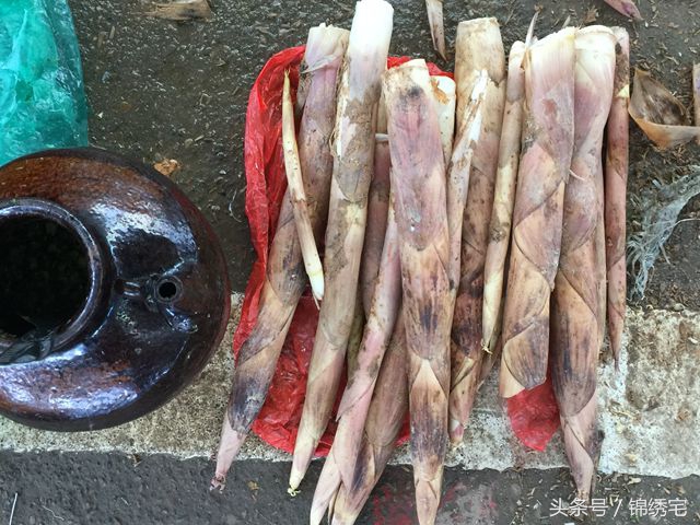 在北方不容易买到的时令蔬菜,这些特点蔬菜你见过吗