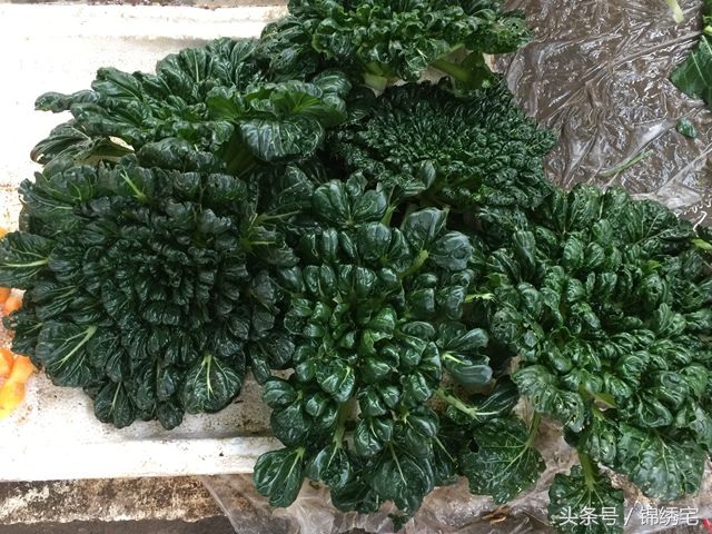 在北方不容易买到的时令蔬菜,这些特点蔬菜你见过吗