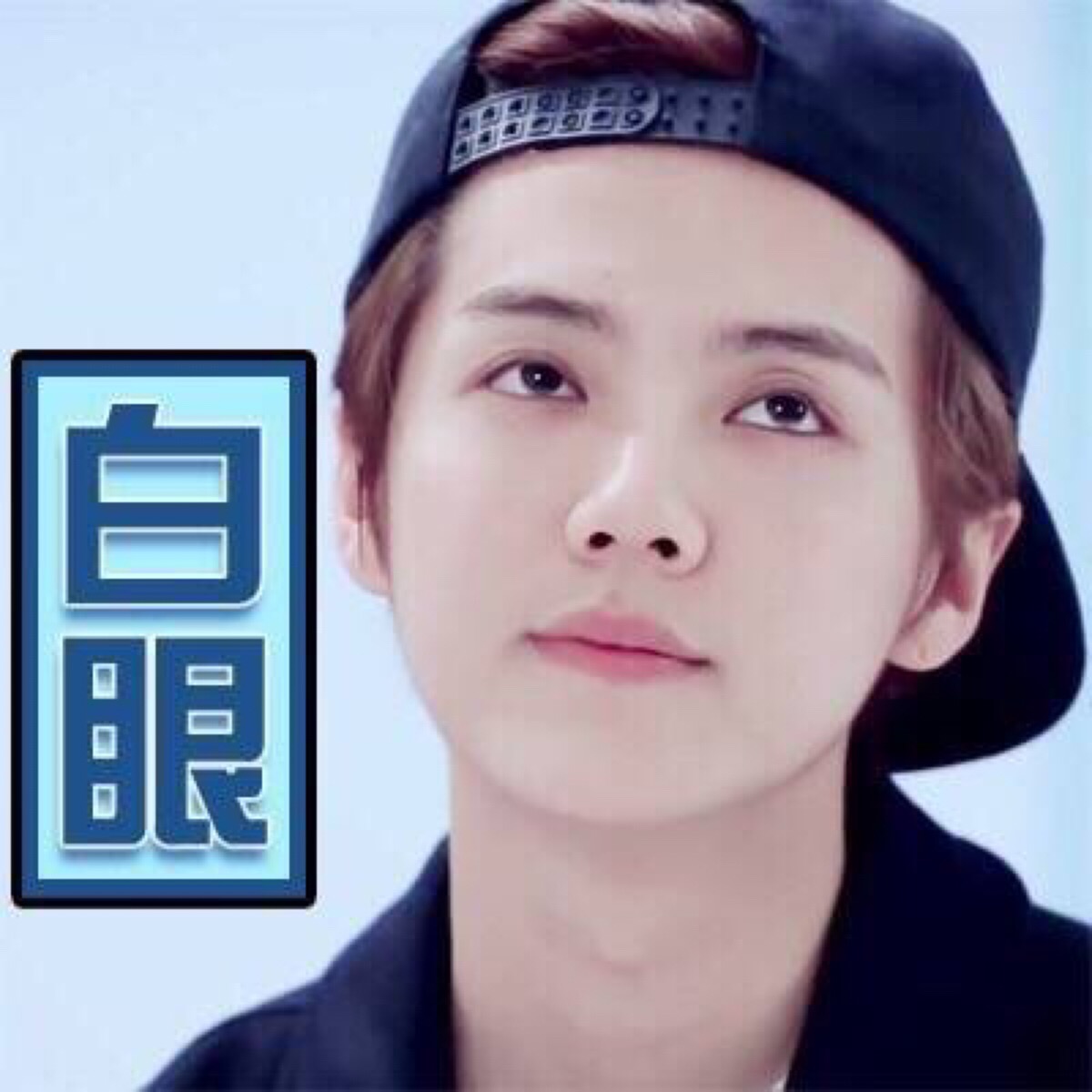 广东人吃*肉猫**喝蛇汤，雷懂乜嘢~~~