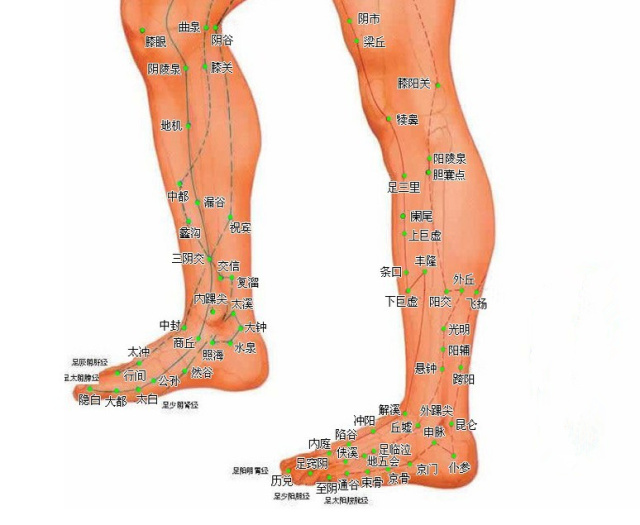 字里藏医原文,字里藏医简介