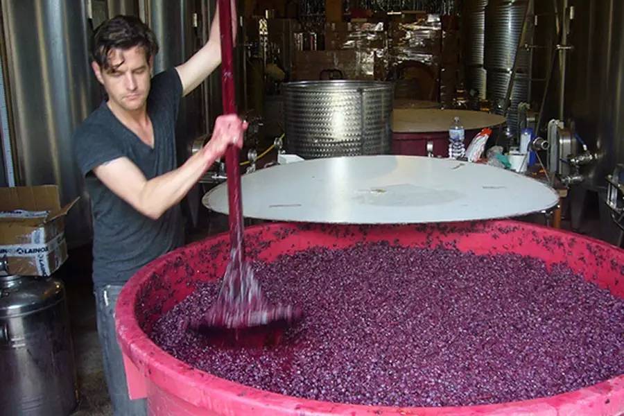 葡萄酒入门基础知识培训,进阶教你如何学习葡萄酒知识