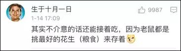 老鼠在车里藏花生嗷嗷叫,老鼠在车里藏粮食