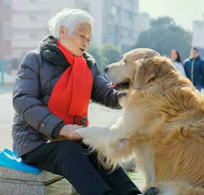给摄影爱好者的十二条摄影经验,看完这组摄影作品你还淡定吗