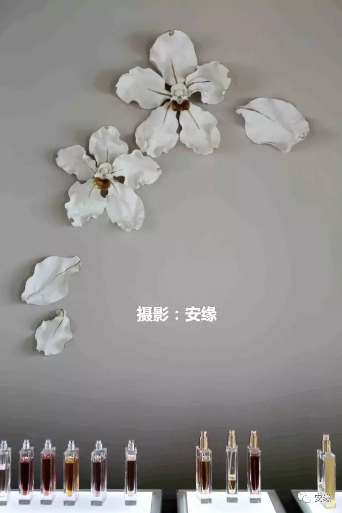 lv马尔代夫白马庄园,马尔代夫白马庄园lv专卖店