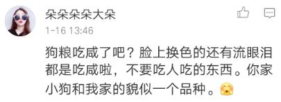 陈赫晒女儿给狗狗喂食,陈赫晒萌宠照片狗狗名字太霸气