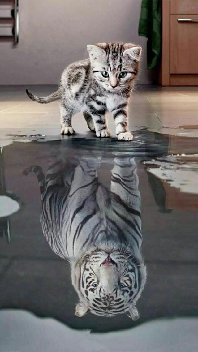 珍藏50张绝美墙纸,花了2000个小时选出十张壁纸